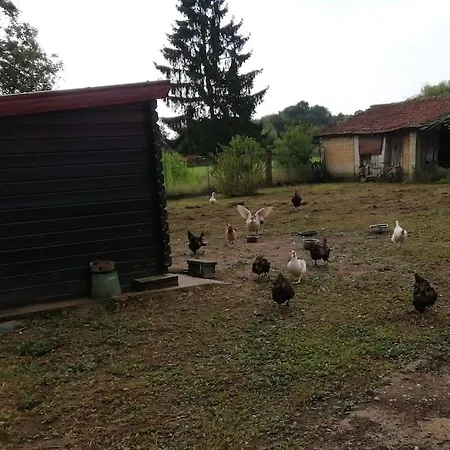 L'Ain Avec L'Hote * Chatenay (Ain)